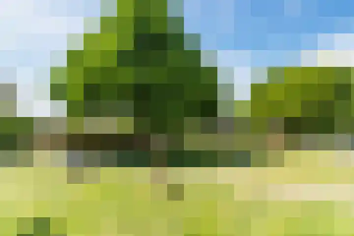 Barentszstraat 5 Dongen thumbnail 44