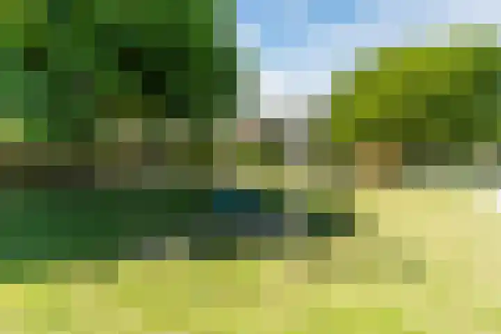 Barentszstraat 5 Dongen thumbnail 45