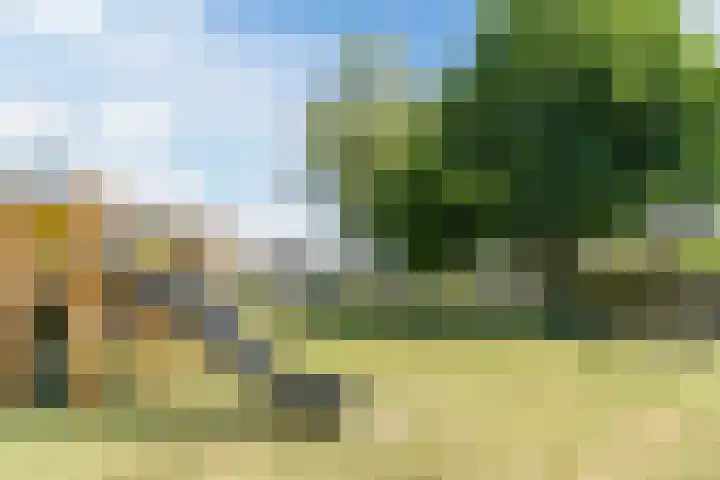 Barentszstraat 5 Dongen thumbnail 46