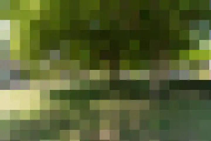 Barentszstraat 5 Dongen thumbnail 47