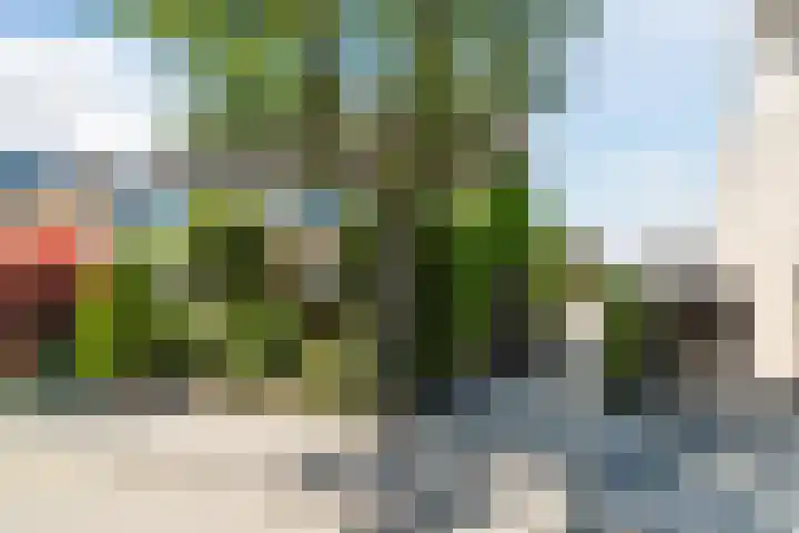 Barentszstraat 5 Dongen thumbnail 48