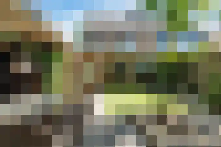 Barentszstraat 5 Dongen thumbnail 6