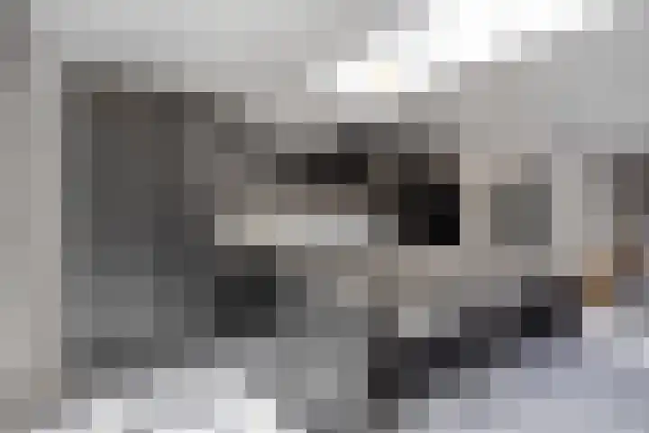 Barentszstraat 60 Lisse thumbnail 14