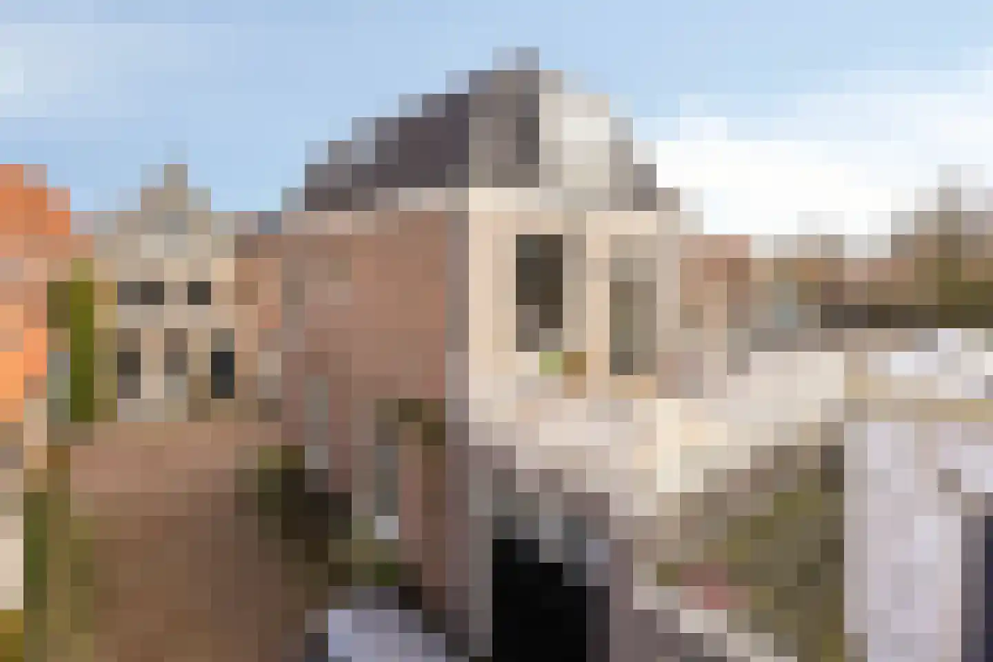 Barentszstraat 60 Lisse thumbnail 15