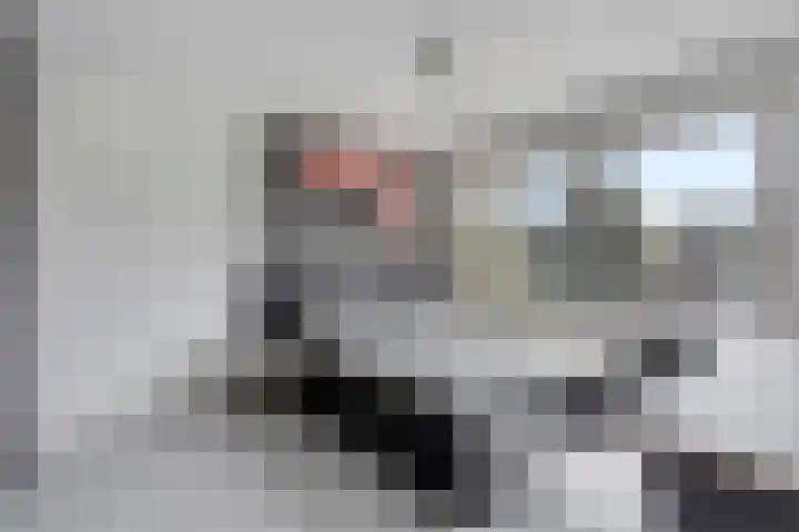 Barentszstraat 60 Lisse thumbnail 18