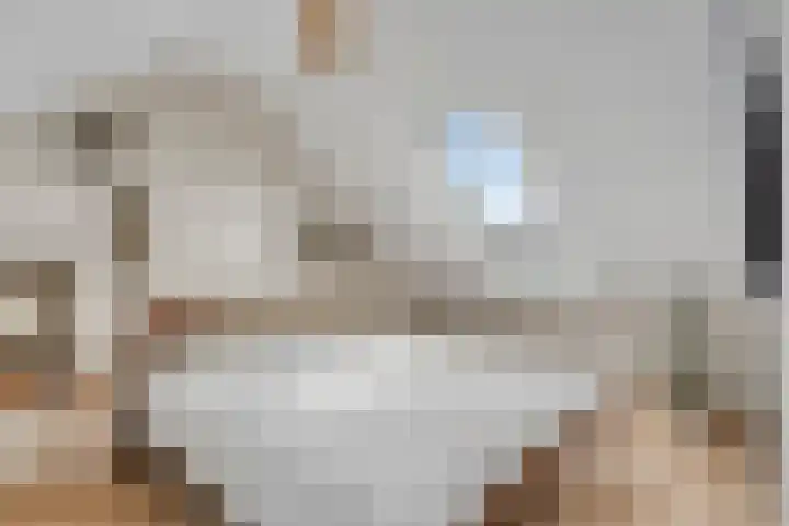 Barentszstraat 60 Lisse thumbnail 22