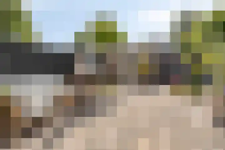 Barentszstraat 60 Lisse thumbnail 26