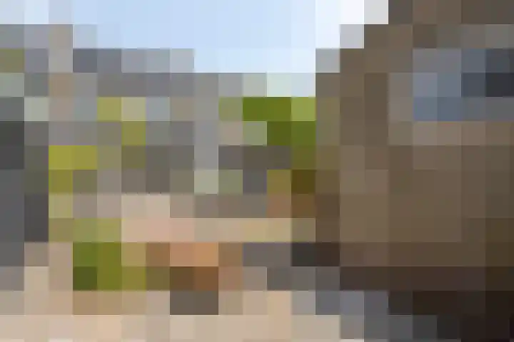 Barentszstraat 60 Lisse thumbnail 27