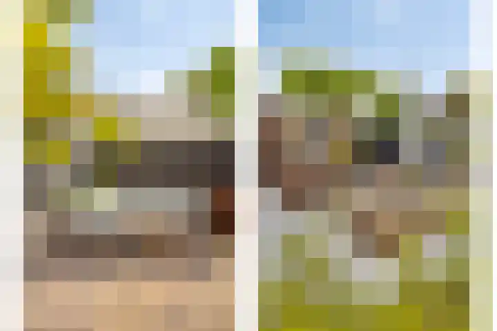 Barentszstraat 60 Lisse thumbnail 28