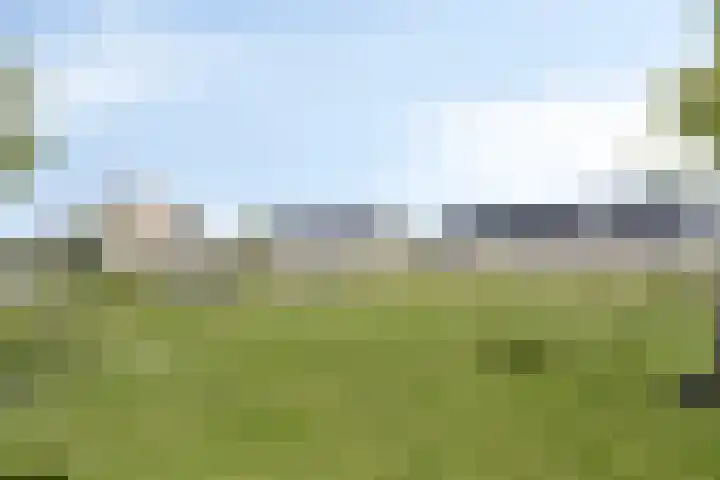 Barentszstraat 60 Lisse thumbnail 31
