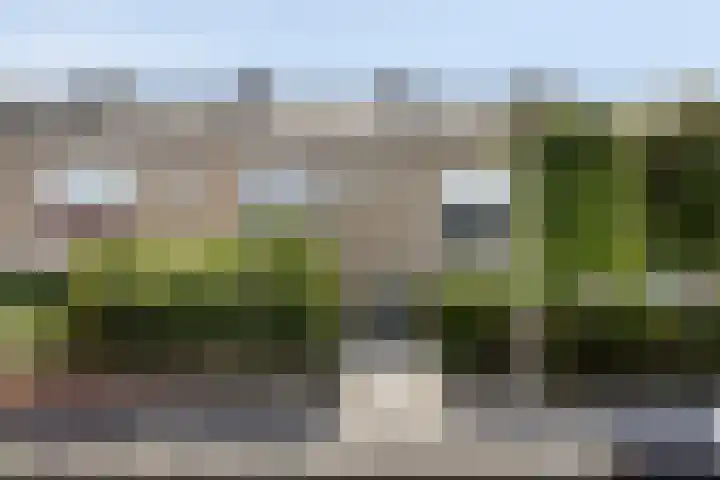 Barentszstraat 60 Lisse thumbnail 5