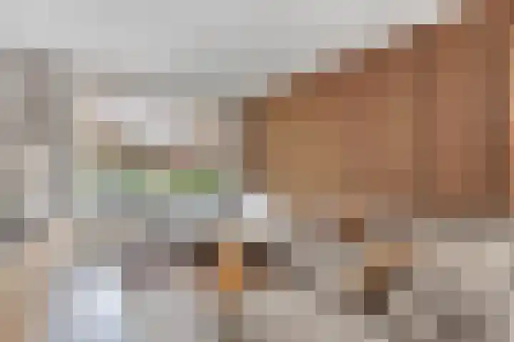 Barentszstraat 60 Lisse thumbnail 8