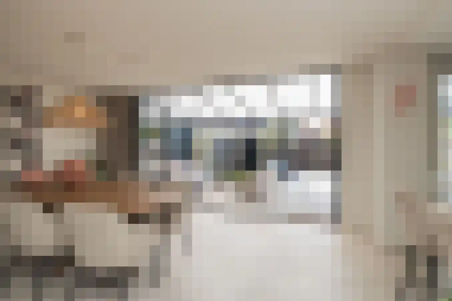 Barentszstraat 72 Lisse thumbnail 19