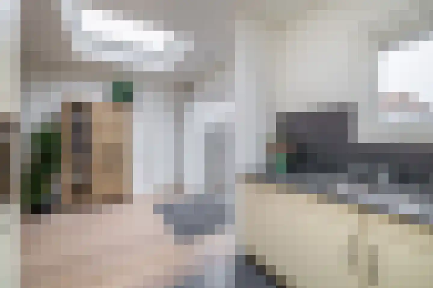 Barentszstraat 80 Lisse thumbnail 12