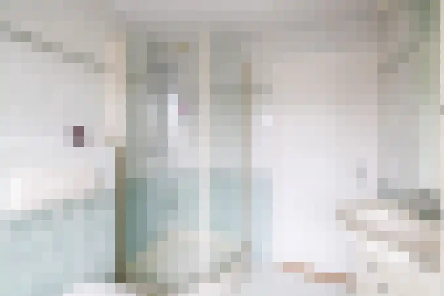 Barentszstraat 80 Lisse thumbnail 22