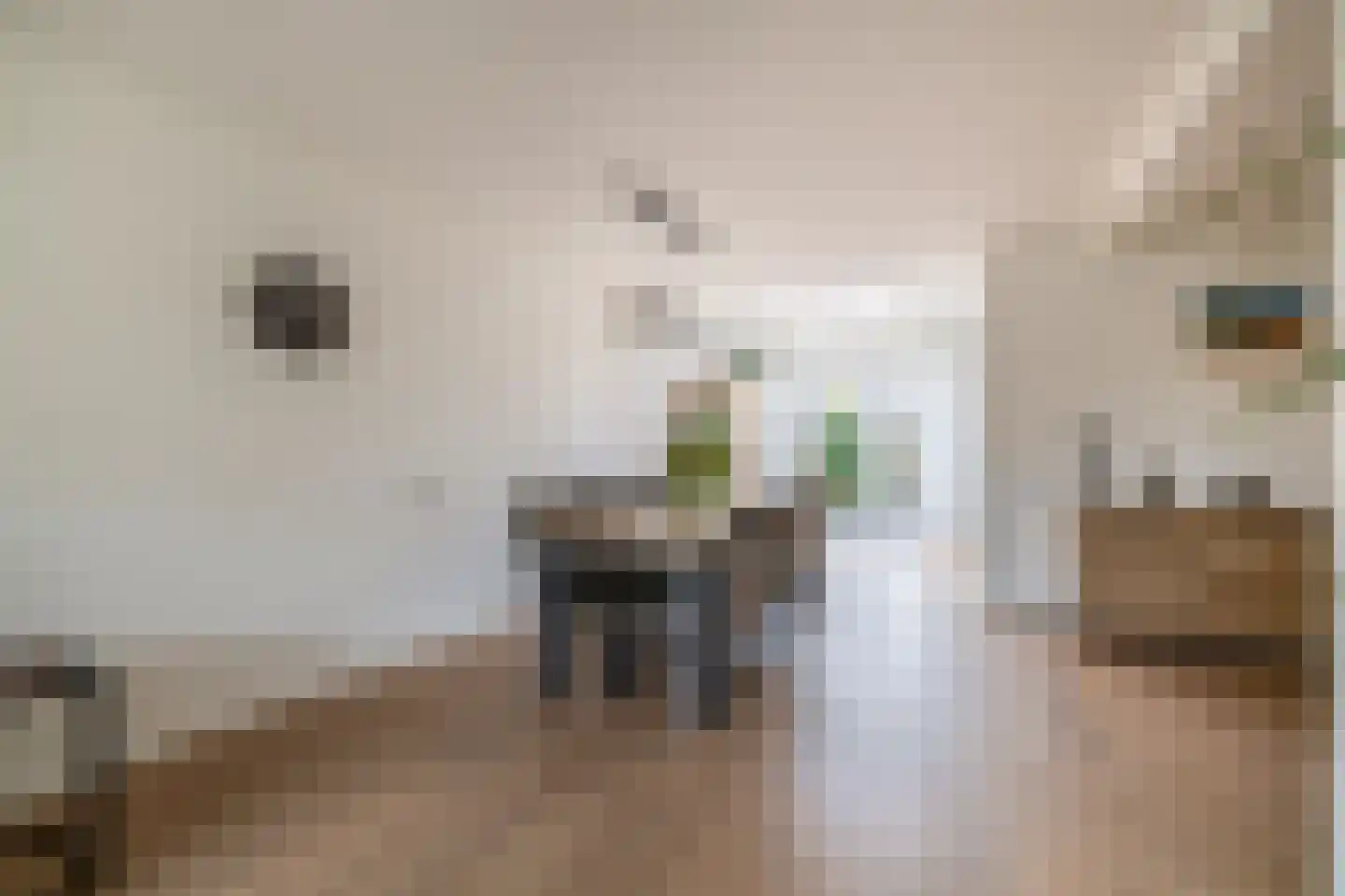 Barentszstraat 80 Lisse thumbnail 6