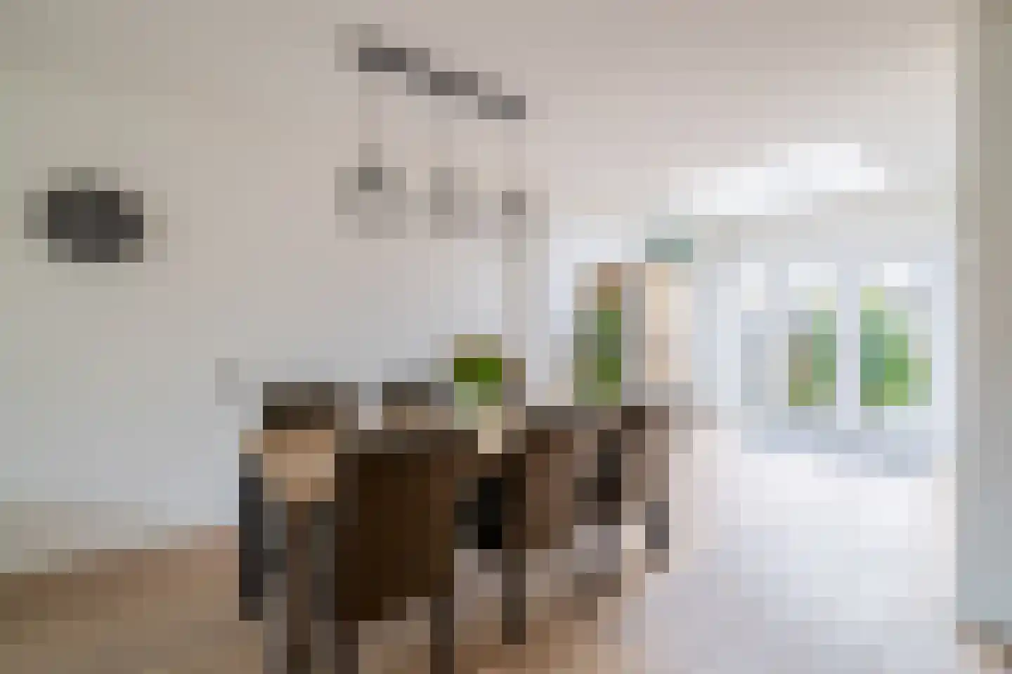 Barentszstraat 80 Lisse thumbnail 8