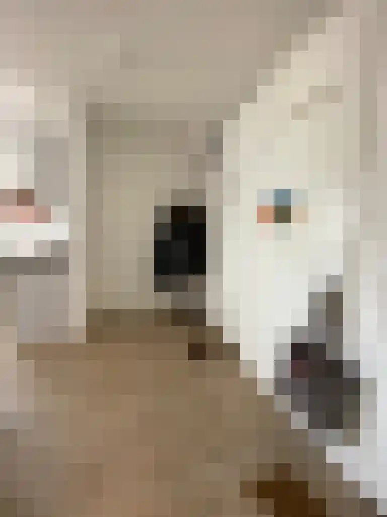 Barestraat 28 Groningen thumbnail 4