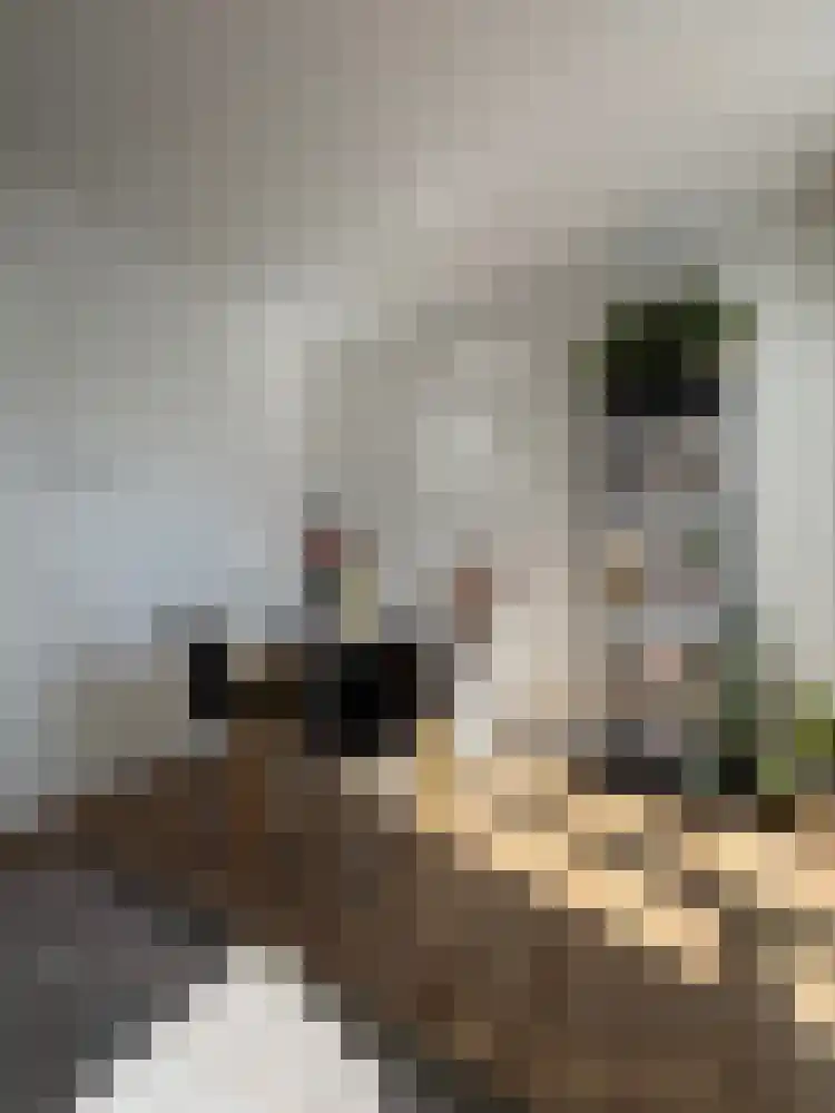 Barestraat 41 Groningen thumbnail 4
