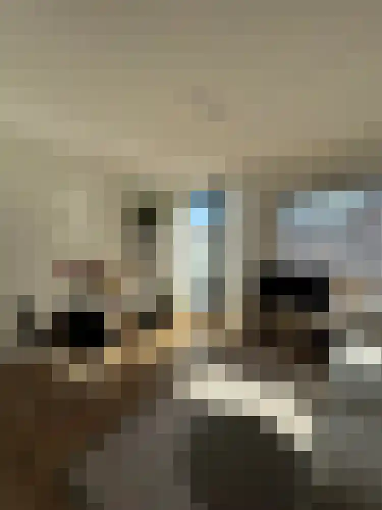 Barestraat 41 Groningen thumbnail 5