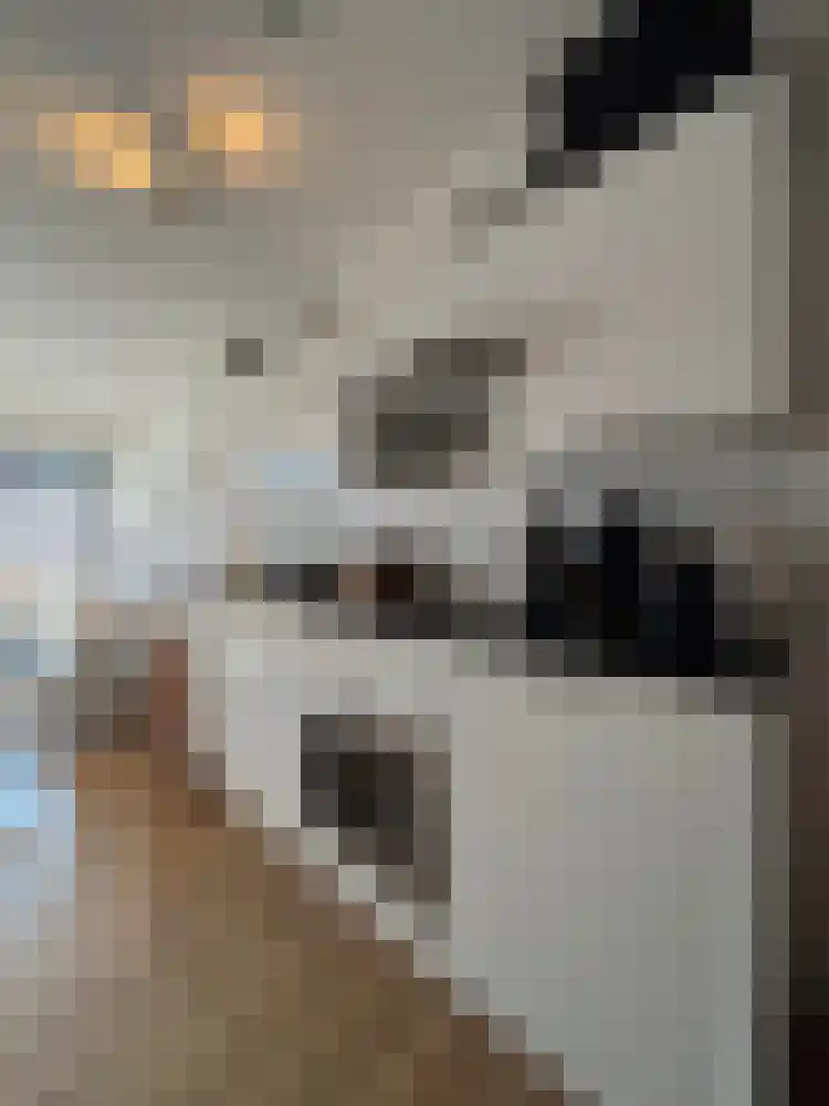Barestraat 41 Groningen thumbnail 6