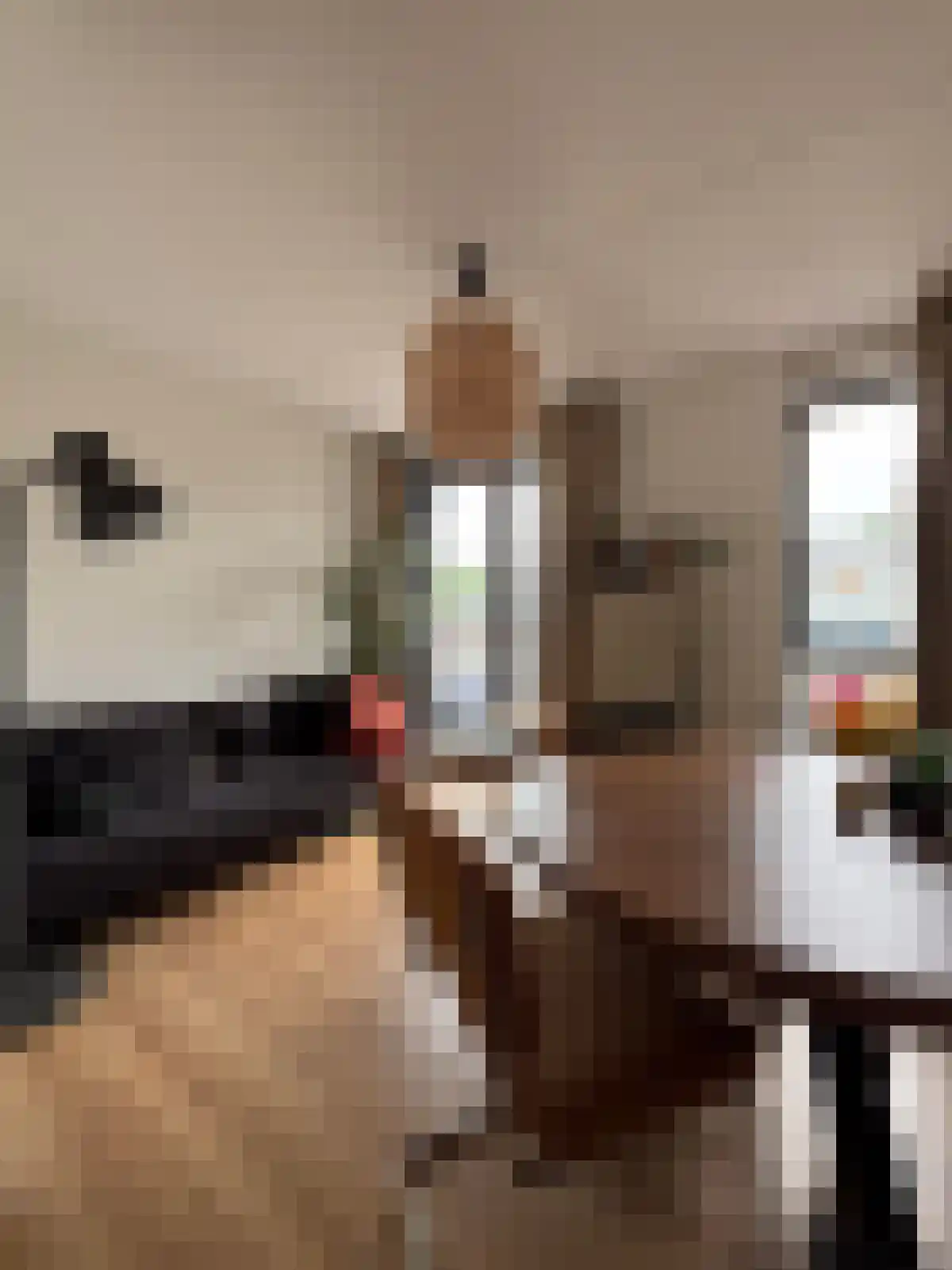 Barestraat 41 Groningen thumbnail 6