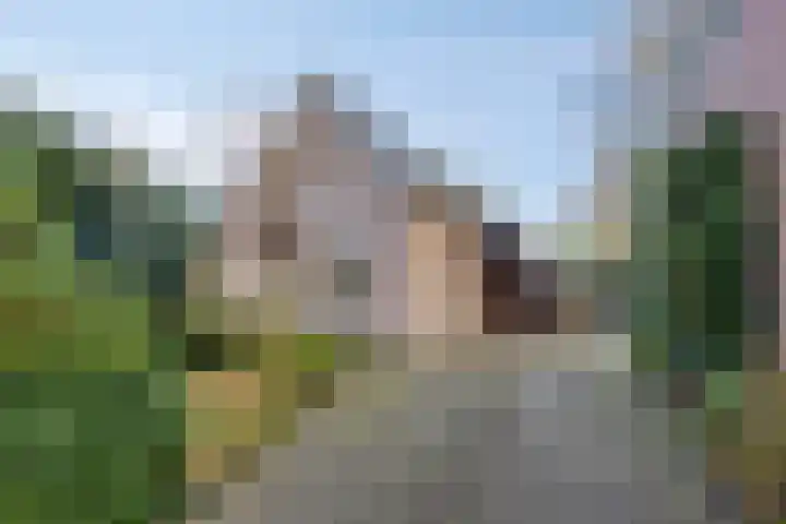 Bareveld 24 in Nieuwediep
