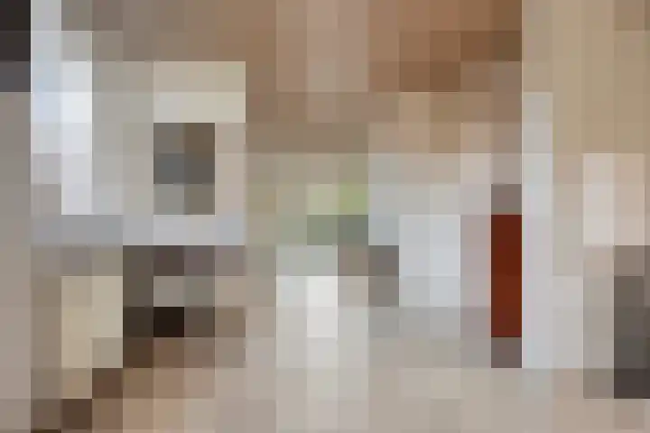 Bareveld 24 Nieuwediep thumbnail 10