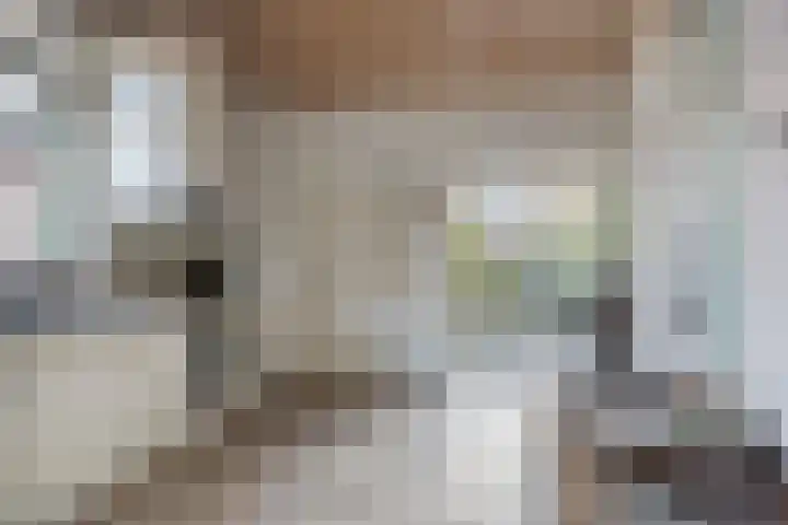 Bareveld 24 Nieuwediep thumbnail 12