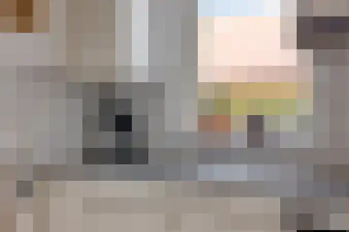 Bareveld 24 Nieuwediep thumbnail 13