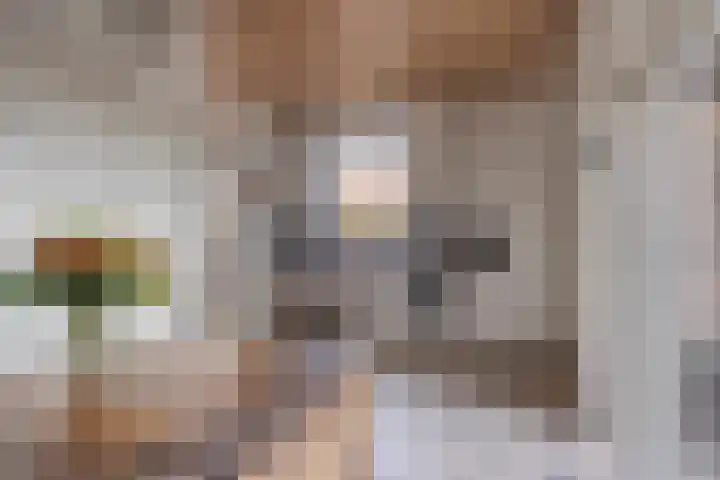 Bareveld 24 Nieuwediep thumbnail 14