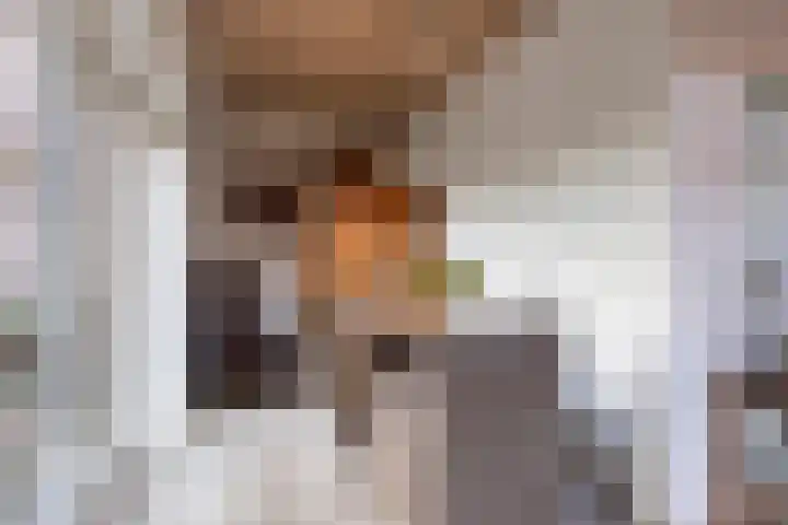 Bareveld 24 Nieuwediep thumbnail 15