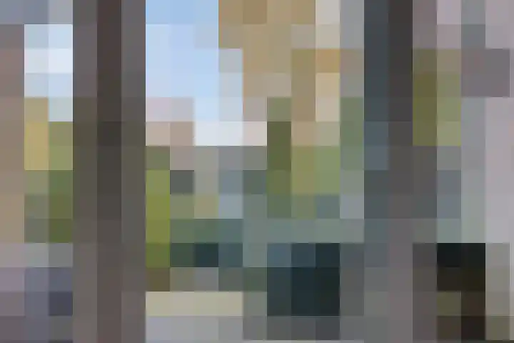 Bareveld 24 Nieuwediep thumbnail 16