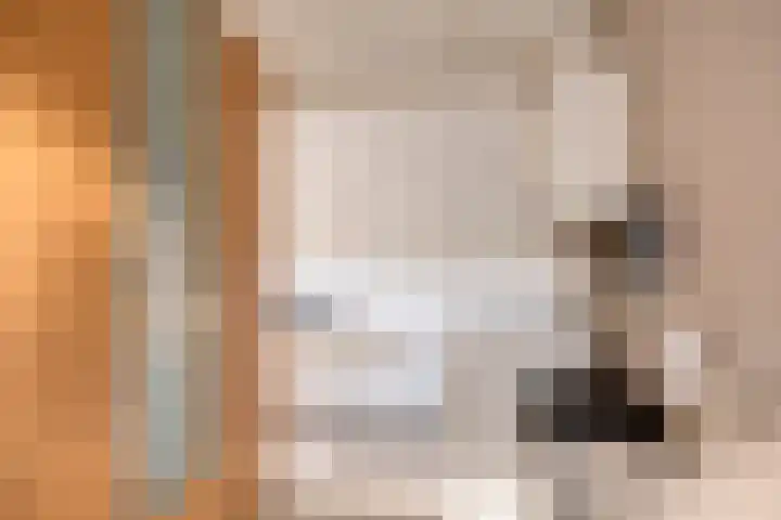 Bareveld 24 Nieuwediep thumbnail 17