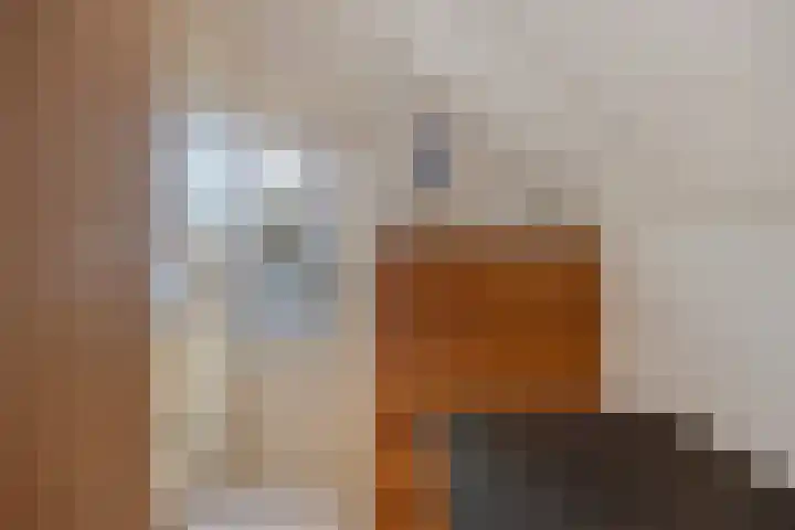 Bareveld 24 Nieuwediep thumbnail 18