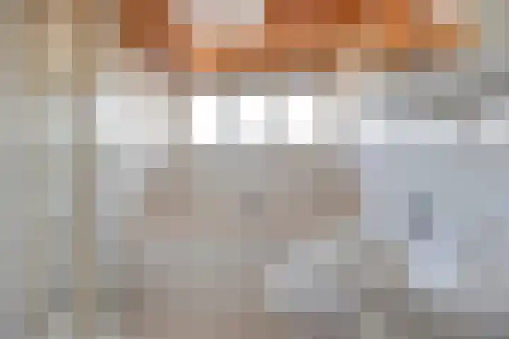 Bareveld 24 Nieuwediep thumbnail 20