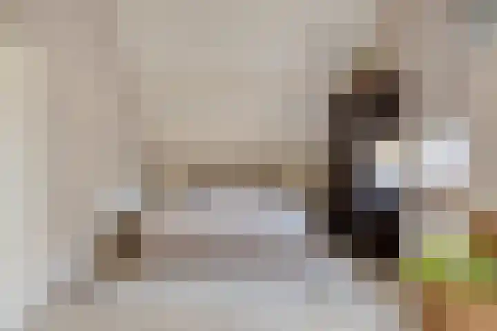 Bareveld 24 Nieuwediep thumbnail 22