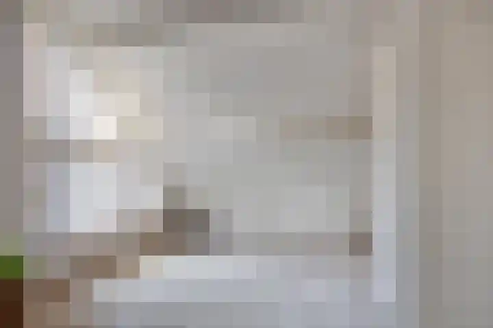 Bareveld 24 Nieuwediep thumbnail 23