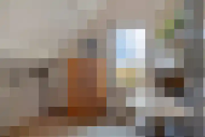 Bareveld 24 Nieuwediep thumbnail 25