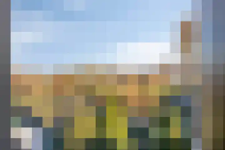Bareveld 24 Nieuwediep thumbnail 28