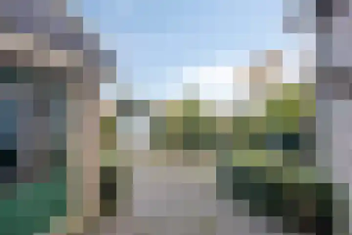 Bareveld 24 Nieuwediep thumbnail 29