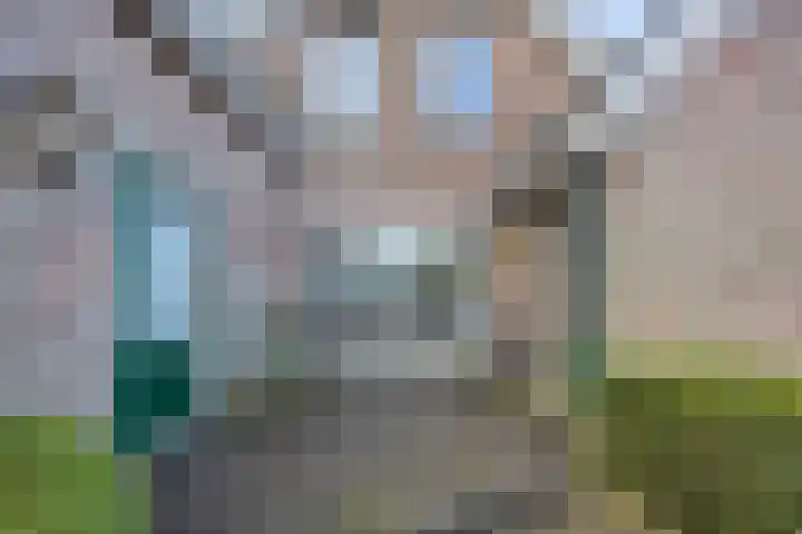 Bareveld 24 Nieuwediep thumbnail 30
