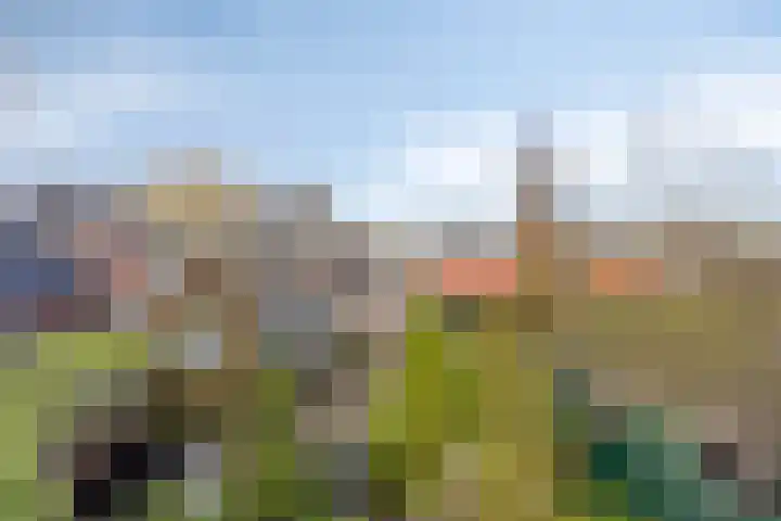 Bareveld 24 Nieuwediep thumbnail 31