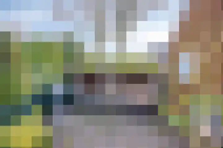 Bareveld 24 Nieuwediep thumbnail 32