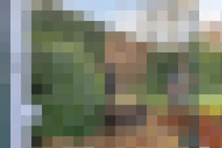 Bareveld 24 Nieuwediep thumbnail 33