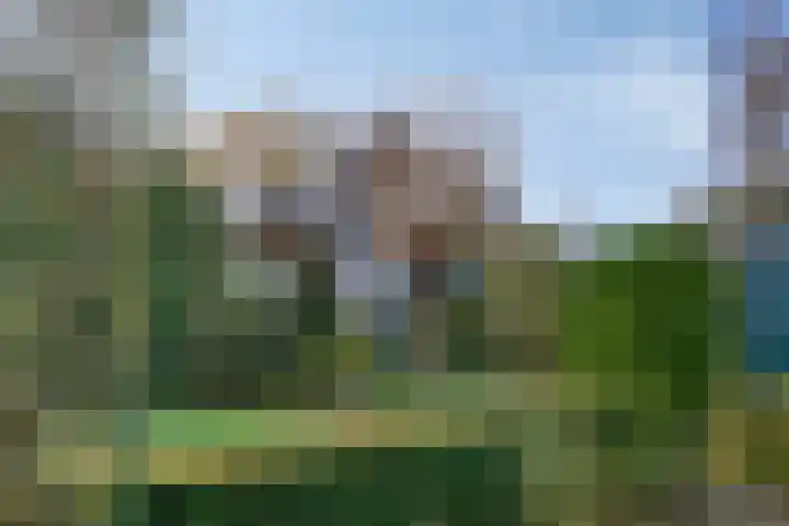 Bareveld 24 Nieuwediep thumbnail 34