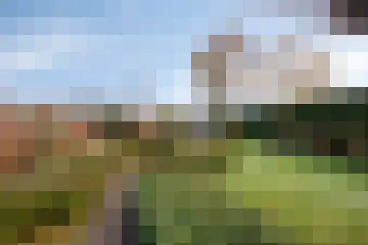 Bareveld 24 Nieuwediep thumbnail 35