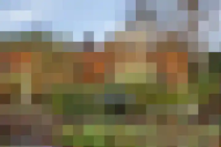 Bareveld 24 Nieuwediep thumbnail 36