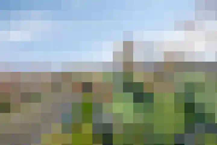 Bareveld 24 Nieuwediep thumbnail 37