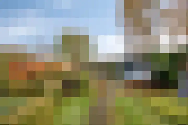 Bareveld 24 Nieuwediep thumbnail 38